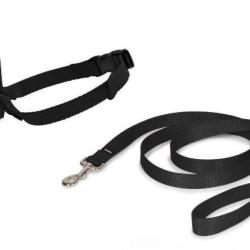 Licol easy walk pour chien taille m couleur noir