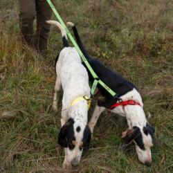 Laisse accouple double Wild Tracker X-Plore 140 cm
