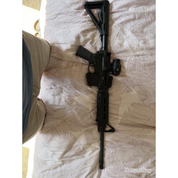 RUGER AR 556  quasi neuf 223 rem + optique + r�cup�rateur de douilles + housse de transport