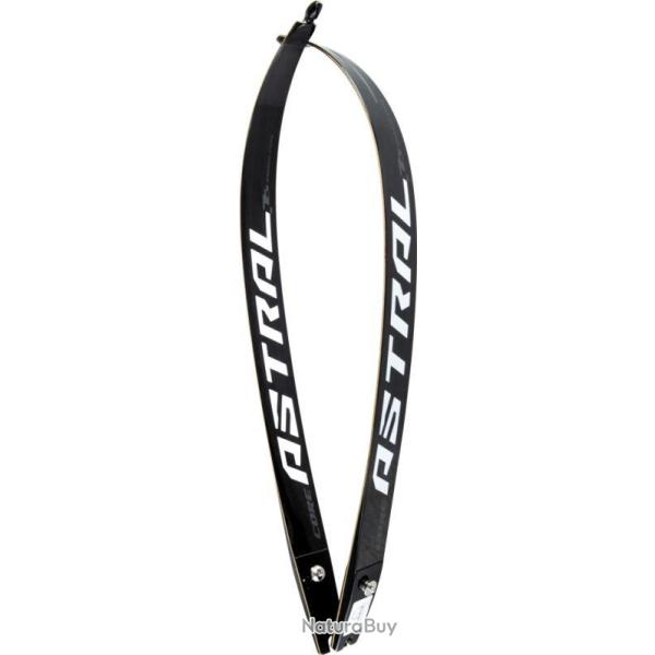 CORE - Branches Fibre-Bambou ASTRAL 68" 20 #