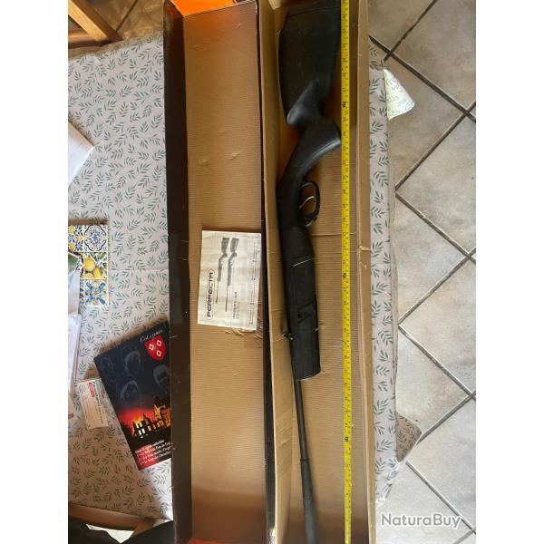 Carabine � plomb