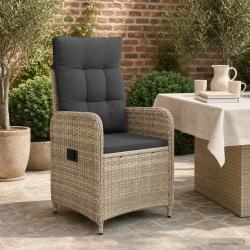 Chaise de jardin inclinable Gris clair et gris fonc&eacute;