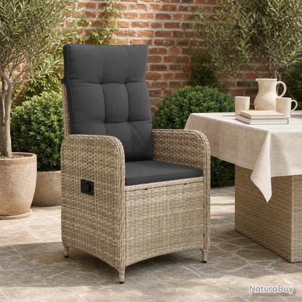 Chaise de jardin inclinable Gris clair et gris fonc�