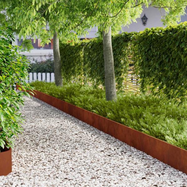 Bordure de Pelouse 20 pcs 103 x 25 cm Acier Rouill�