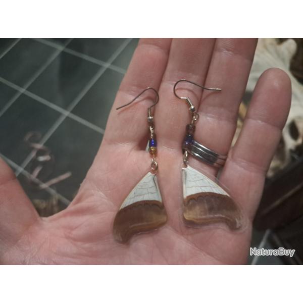 Paire de boucles d'oreilles de vraies ailes de papillon #14