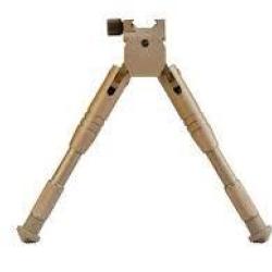 BIPIED CALDWELL PRONE COULEUR TAN
