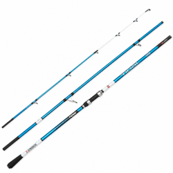 Canne &agrave; p&ecirc;che Tidal 423 100-250G