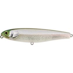 Leurre de surface Bonnie 107 10.7CM-17.5G, Secret Sand Eel