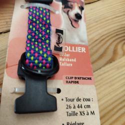 collier pour chiens