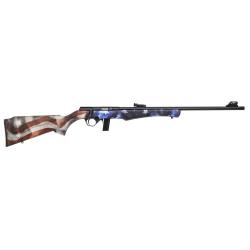 CARABINE 8122 .22LR USA - ROSSI ARMS