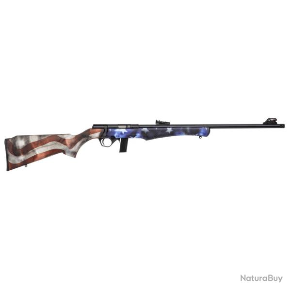 CARABINE 8122 .22LR USA - ROSSI ARMS