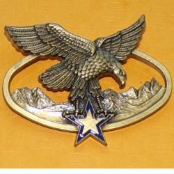 Brevet de Chef d'Equipe de Haute Montagne, 2 pontets, FABRICANT DELSART ,HOMOLOGATION GS 138,&nbsp;ETAT V
