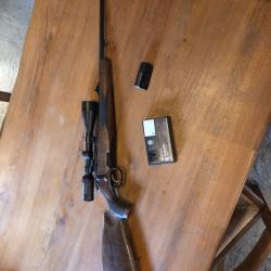 Mannlicher luxus 243win
