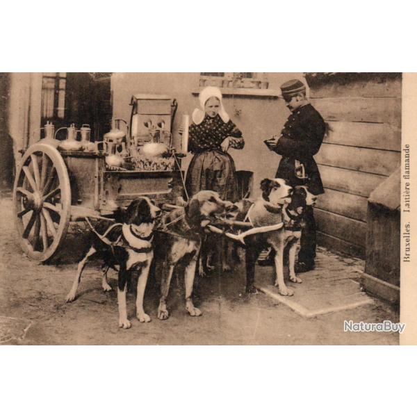 Carte Postale Ancienne Bruxelles Laiti�re Flamande -N�8668