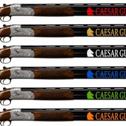 1 Sticker autocollants PREMIUM Canon CAESAR GUERINI AVEC LOGO Exp&eacute;dition sous 24H GARANTIE.