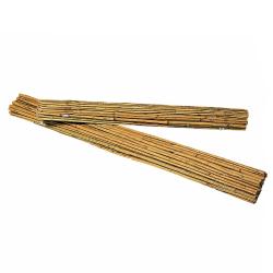 9 Tuteurs en bambou naturel Hauteur 180 cm
