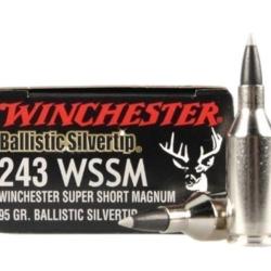 1 Boite de Balles 243 WSSM Winchester Ballistic Silvertip 95gr