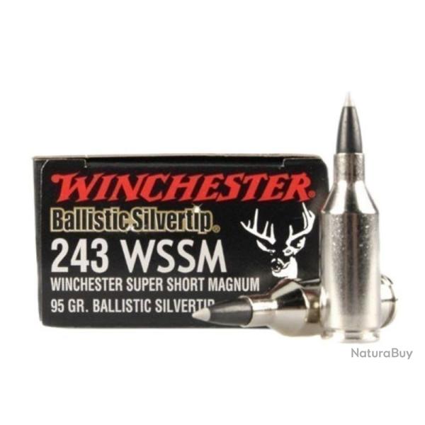 1 Boite de Balles 243 WSSM Winchester Ballistic Silvertip 95gr