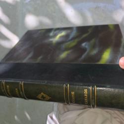 Livre Dupeyron Rocher La chasse des canards EO, Ed la Toison Or. Illust. Boyrie