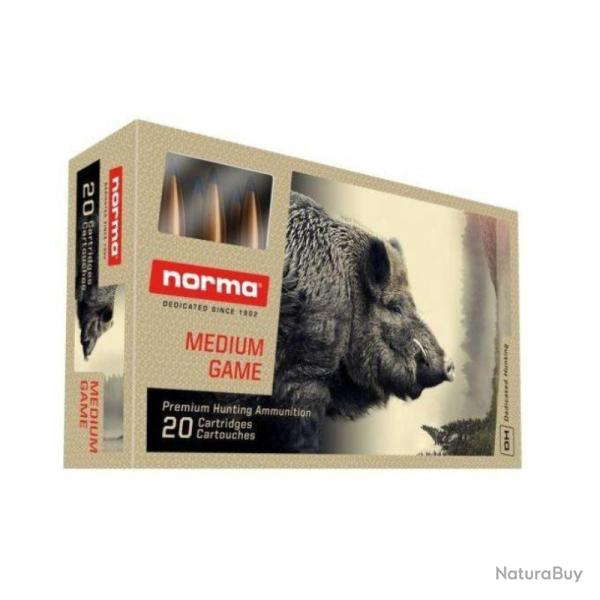 Norma 300 Win plastic point 180gr 11,7g - Norma 300 Ppt
