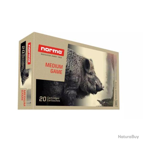Norma 308 Plastic Point - norma plastic point 308