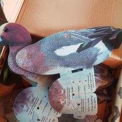 appelant canard