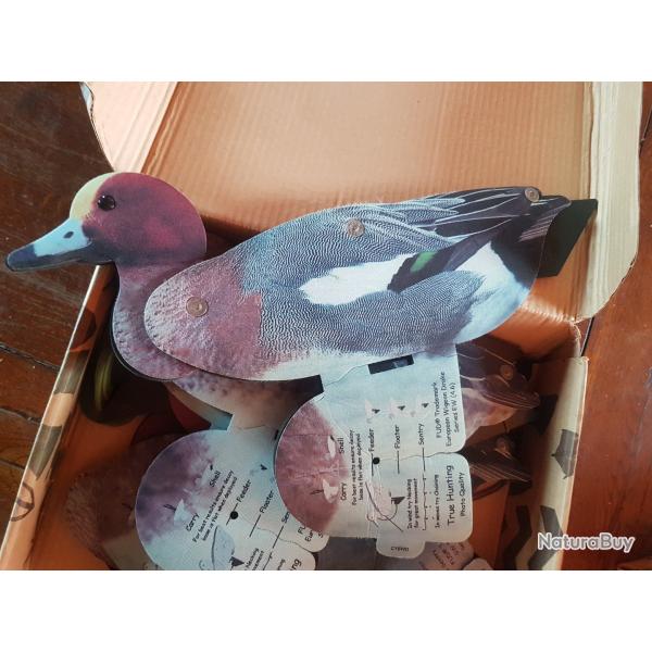 appelant canard
