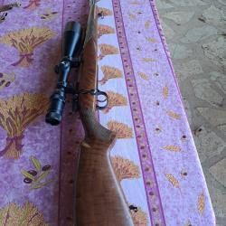carabine cz 550 calibre 243