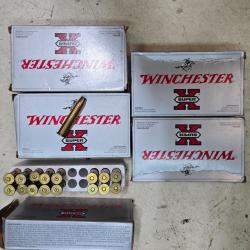 Munition 45 70 winchester