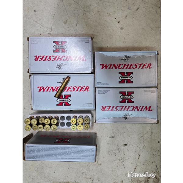 Munition 45 70 winchester