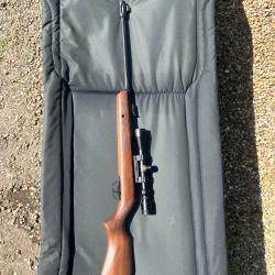 CARABINE HUNTER BOIS 19.9 +3-9X40