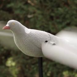 2 pigeons  &agrave; ailes tournante &eacute;lectrique &agrave; piles