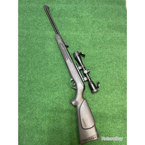 Carabine � plomb Gamo Big Cat 4.5mm + Lunette