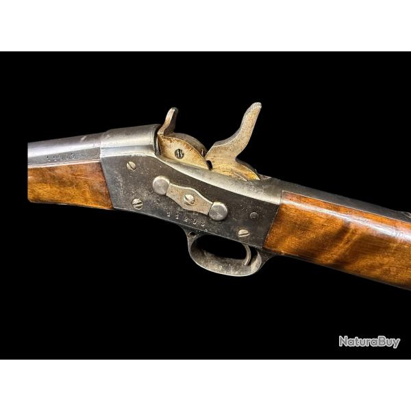 REMINGTON ROLLING BLOCK cal. 20