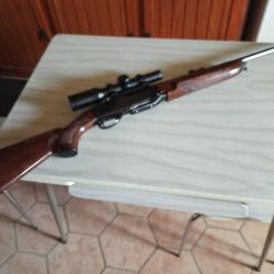 CARABINE SEMI AUTOMATIQUE