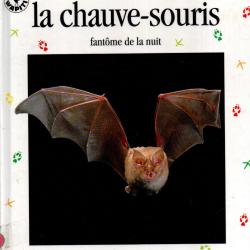 la chauve-souris fantome de la nuit noblet jean-fran&ccedil;ois collection patte a patte