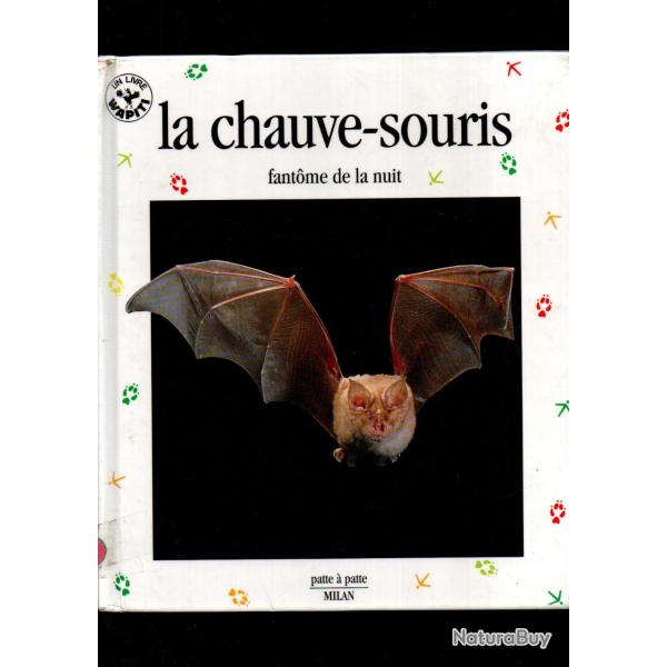 la chauve-souris fantome de la nuit noblet jean-fran�ois collection patte a patte
