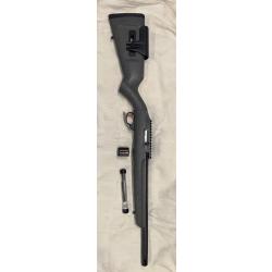 carabine ruger 10/22 custom competition