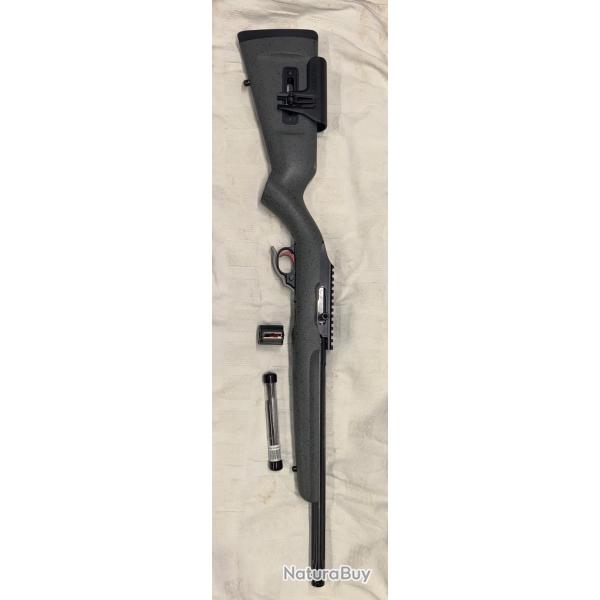 carabine ruger 10/22 custom competition
