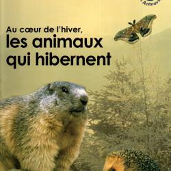 au coeur de l'hiver les animaux qui hibernent , le comportement des animaux