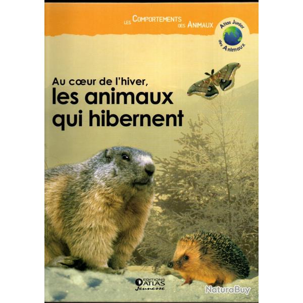 au coeur de l'hiver les animaux qui hibernent , le comportement des animaux