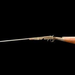 CARABINE DE BRACONNIER cal. 410 num&eacute;ro 224397