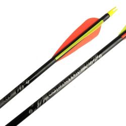 Fl&egrave;che Easton XX75 Gamegetter avec vanes plastiques - A l'unit&eacute; 300