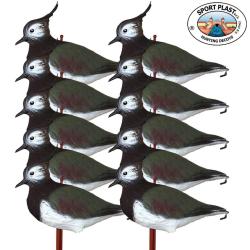 Pack 10 appelants vanneaux hupp&eacute;s &agrave; pattes SPORTPLAST