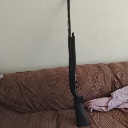 Fusil semi-auto ata