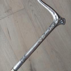 Canne &eacute;p&eacute;e