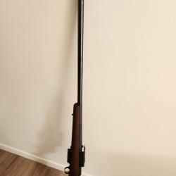 Fusil marlin goose gun calibre 10