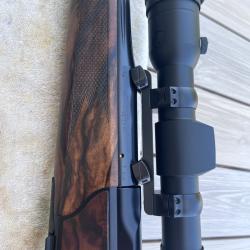 Aimpoint H30 L et son montage Blaser