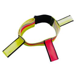 Collier de signalisation pour chiens Orange 50/65