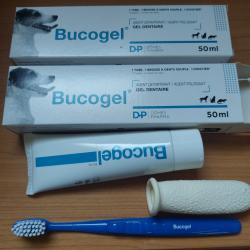 dentifrice pour chien chat furet